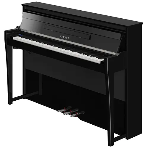 NU1XA-Polish-Ebony NU1XA
