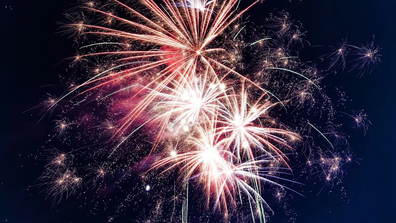 Fireworks going off in a night sky