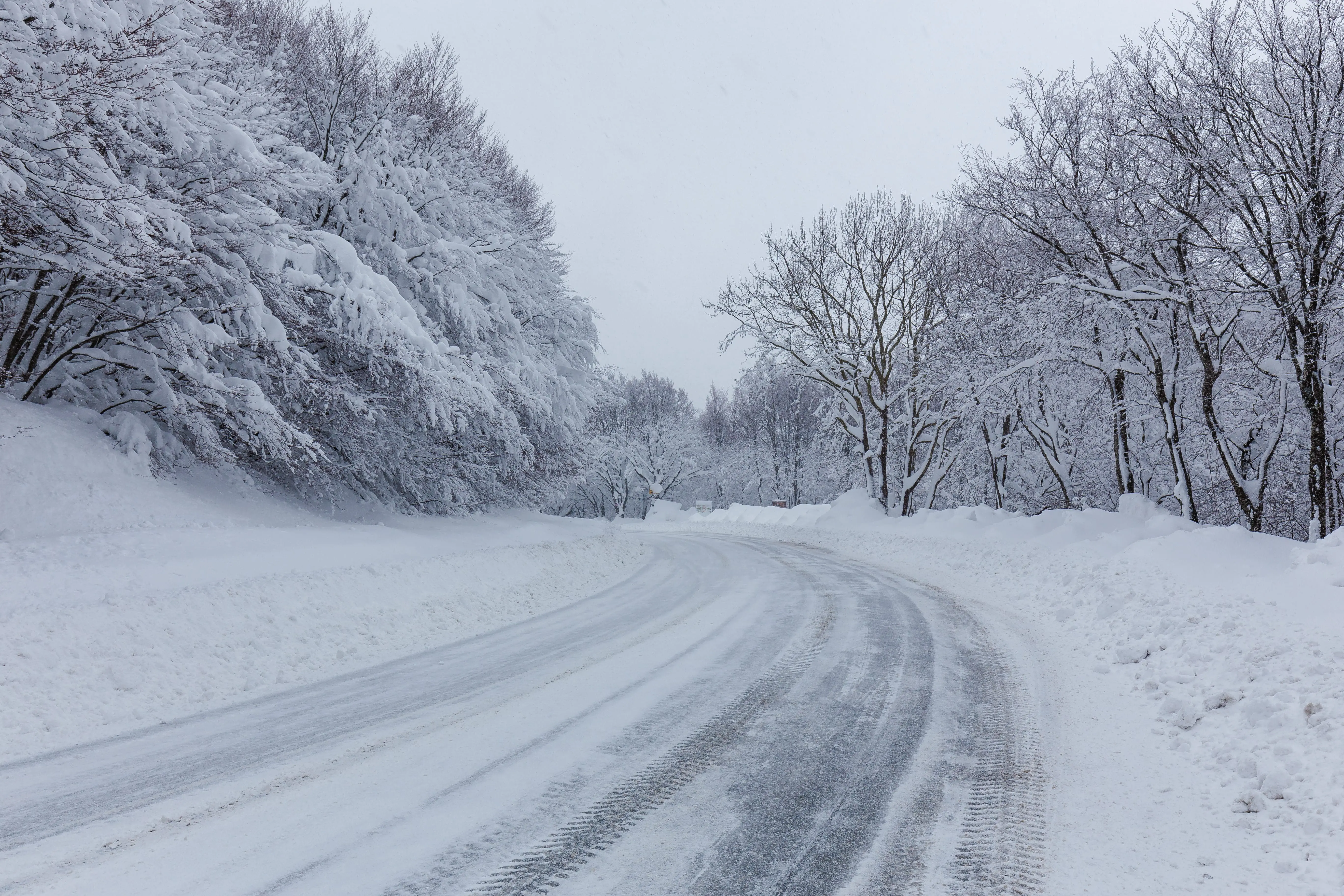Snowy Road in Wisconsin
