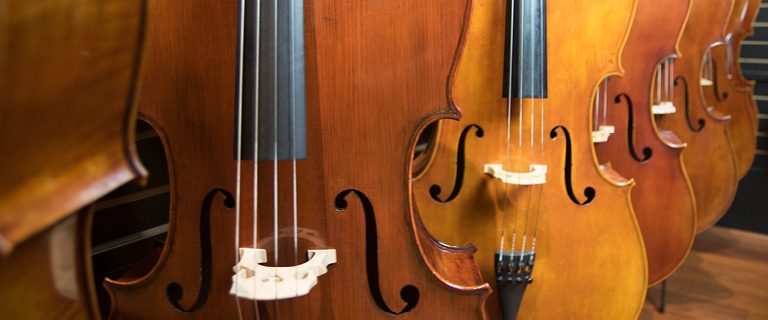 Orchestral Strings, cellos in the sting shop